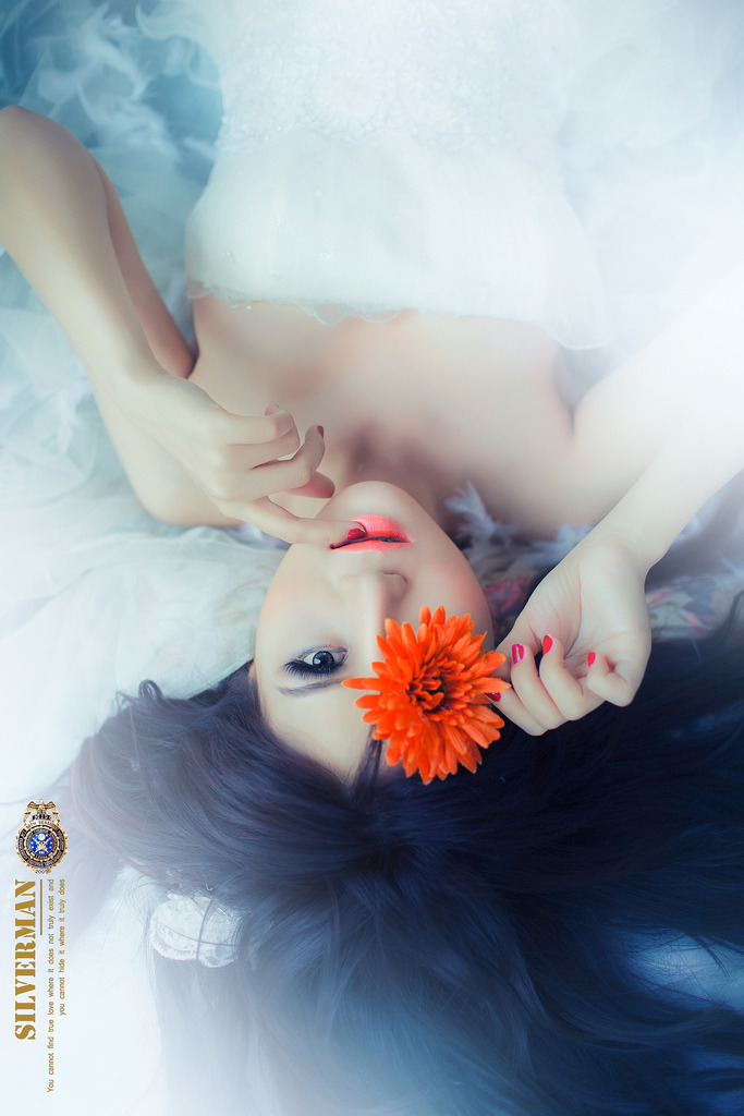 正义之心在线